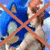 :iconanti-sonelise-club: