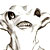 :iconantialper: