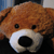 :iconantichrist-teddybear: