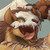 :iconantihippie69: