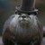 :iconantiivvan: