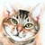 :iconantik-ex: