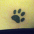 antilovesong69 :iconantilovesong69: