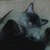 :iconantiprincess13: