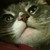 AntiqueGuard :iconantiqueguard: