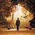 :iconantiquelace23: