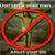 :iconantireligion: