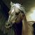:iconantiverse: