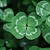 :iconanton1406: