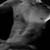 :iconantoneo25: