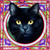 :iconantoninartane: