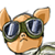 :iconantonioludovico: