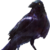 :iconantonsama: