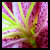 :iconantu-jamban:
