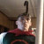 :iconanubiswrath15: