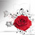 :iconanulollipop: