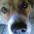 :iconanung524: