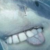 :iconanvildegel: