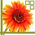 :iconanvirre:
