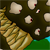 :iconanyiewo: