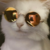 :iconanyimakiko678: