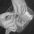 :iconanyspoon: