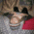 :iconanything-but-great: