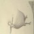 :iconanywhereelsie: