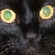 :iconanzenwolf: