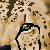 :iconanzun:
