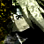 :iconaoi-kori:
