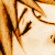 :iconaoi-ryuu: