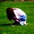 :iconaoifeem: