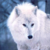 :iconaokaminariki:
