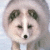 :iconaokaze: