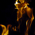 :iconaonephoto: