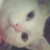 :iconaoosha: