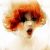 :iconapel-sin: