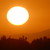 :iconaperture75: