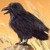 :iconapfelkirsch89: