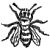 :iconapismella: