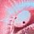 :iconapnea-bode: