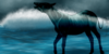 :iconapocalypse-horses: