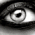 :iconapollinnaire: