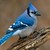 :iconapollo-guise: