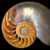 :iconapollo21b: