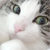 :iconapollofirestorm: