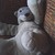 :iconapollothrowd0wn: