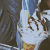 :iconapple-ky:
