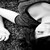 :iconapple-love:
